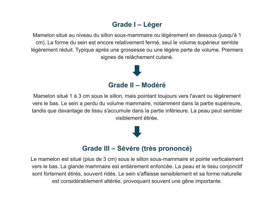 Sein qui tombe - Classification